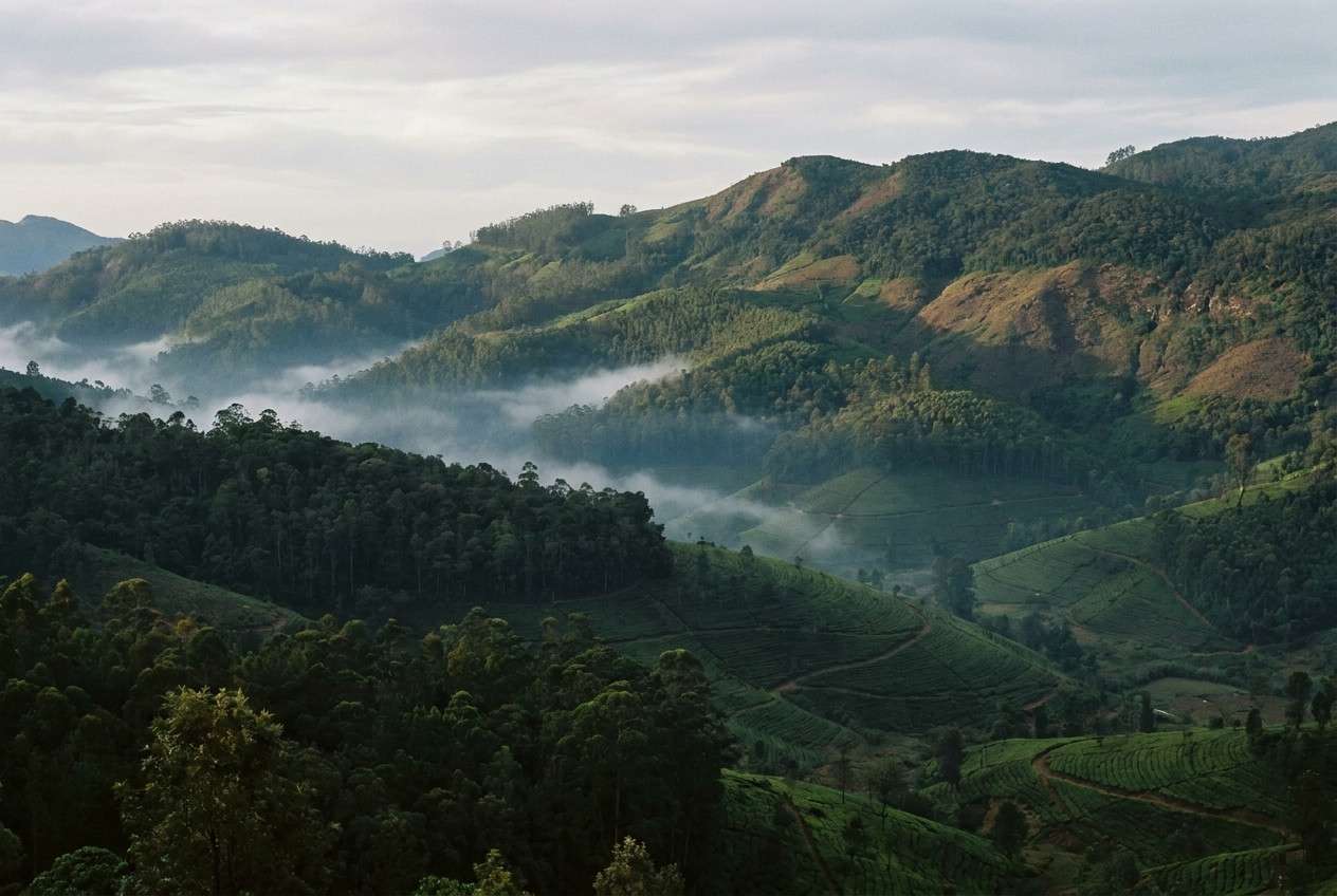 Misty Mornings in Ooty: A Photographer's Slow Guide